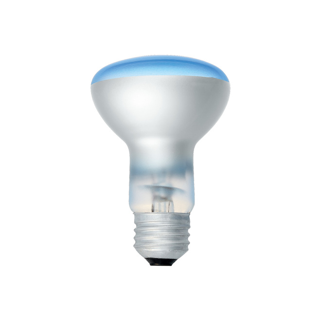 GE Plant Light 50W Incandescent Floodlight R20 Light Bulb (1-Pack)