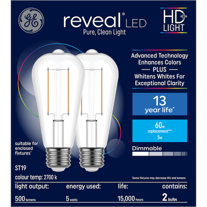 GE Reveal 60-Watt EQ ST19 Soft White Dimmable Edison Bulb (2-Pack)