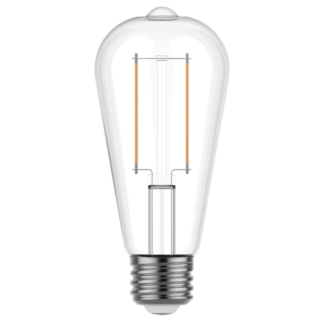 Ampoule Edison à intensité variable GE Reveal blanc doux de 60 W, ST19 (2/pqt)