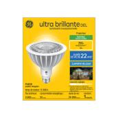 Ampoule à intensité variable GE Ultra Bright de 250 W, lumière du jour, PAR38 (1/pqt)