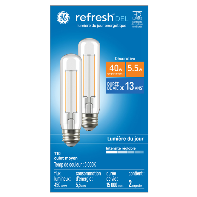 Ampoule DEL GE Lighting 40W gradable T10, paquet de 2