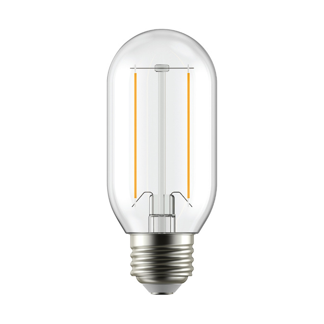 Ampoule DEL 40W T14 GE Lighting à culot moyen, paquet de 2