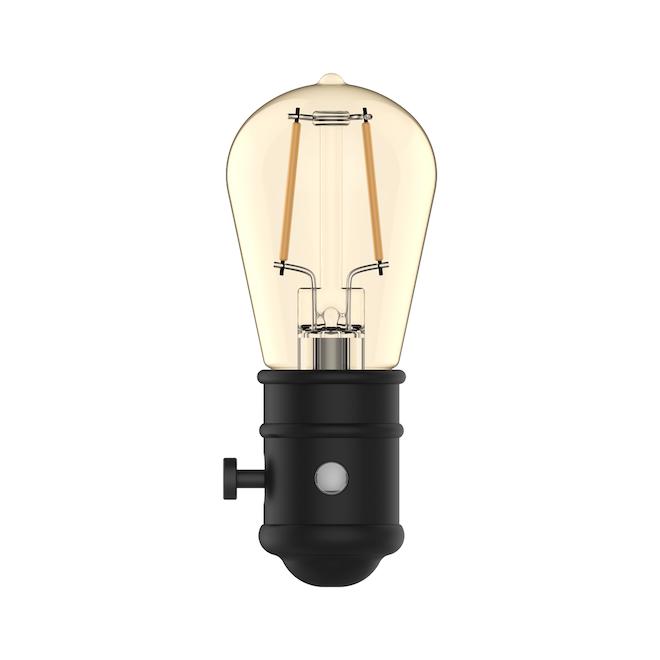 Vieilleuse murale S14 de 5 po brune GE Lighting