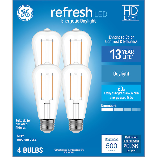 GE Lighting ST19 60W Daylight LED Bulb, 4-Pack