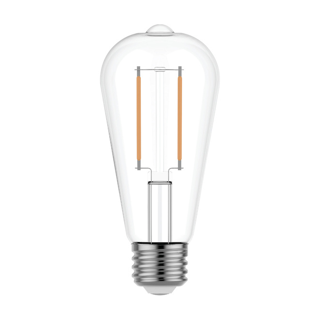 Ampoule DEL Relax HD 40W EQ ST19 à culot moyen de GE Lighting, 2700K, 2/pqt