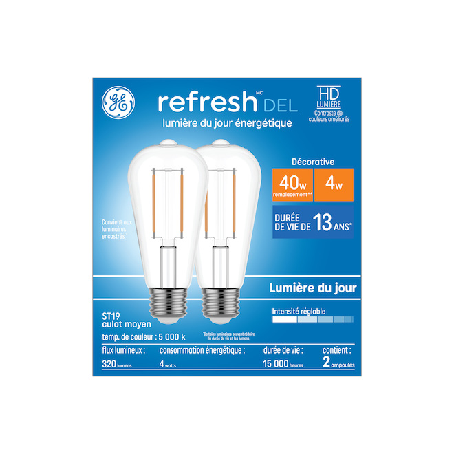 Ampoule DEL de jour HD Refresh ST19 de 40W GE Lighting, paquet de 2