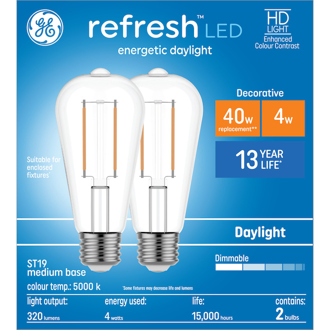 GE Lighting HD Refresh ST19 40W Daylight LED Bulb, 2-Pack