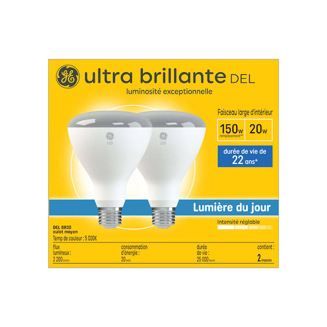 Ampoule de projecteur DEL de jour BR30 150W GE Lighting, paquet de 2