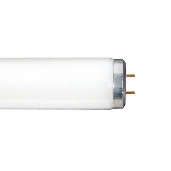 GE Lighting 32 W T8 48-in Neutral White 3500 K Fluorescent Light Bulbs - 2/Pk