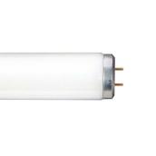 GE Bright White 2-Pack 32W Fluo 48-in T8 Fluorescent Tube