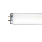GE Lighting Daylight 40 W 48-in T12 Fluorescent Linear Tubes - 12/Pk