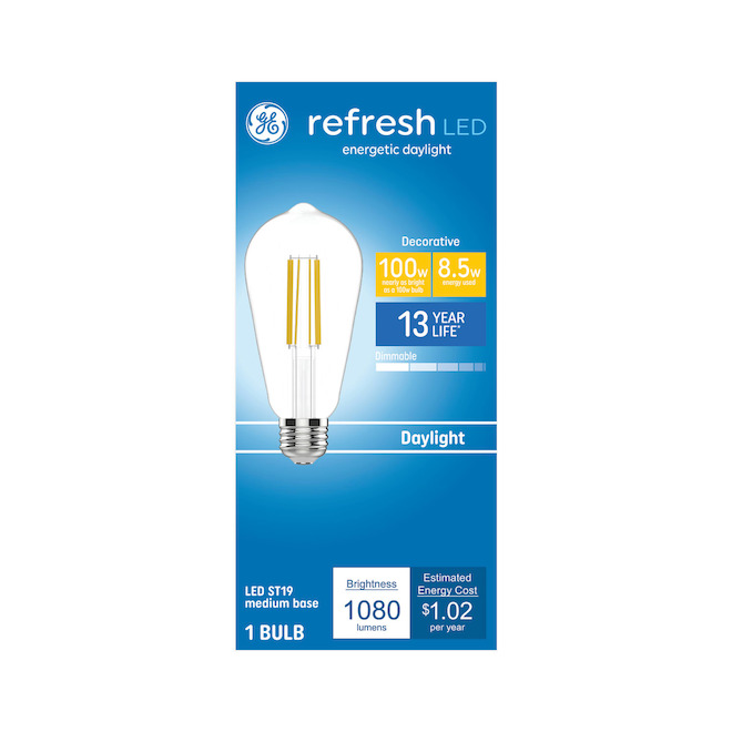 GE Refresh Decorative LED Light Bulb with Filament 100 W - Daylight