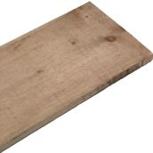 White Pine Board - Rough - Natural - 8-ft L x 12-in L x 1-in T