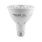 Ampoule DEL PAR30 de 11 W, 800 lumens, blanc chaud