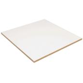 Embassy Ceiling Tiles - 1/4-in T x 24-in L x 24-in W - White - 4-Pack