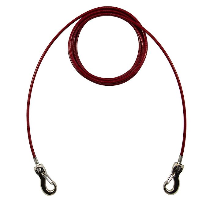 Attache pour chien moyen Ben-Mor 20 pi en acier rouge