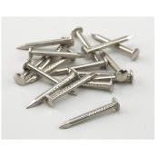Onward Shade Bracket Nails - 15 Gauge - Steel - Nickel-plated - 3/4-in L - 107- Per Pack