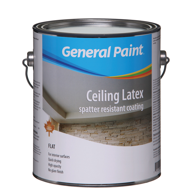 GENERAL PAINT Interior Ceiling Latex Paint GE005206016 RONA