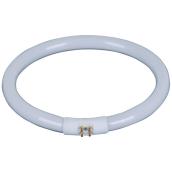 Tube fluorescent circulaire Vision Max, 22W, lumière du jour