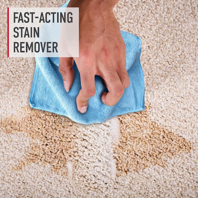 Hoover Spot and Stain Remover Ready to Use Pet Formula - 650-ml