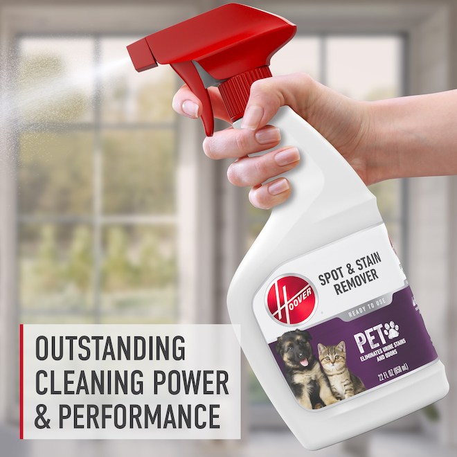 Hoover Spot and Stain Remover Ready to Use Pet Formula - 650-ml