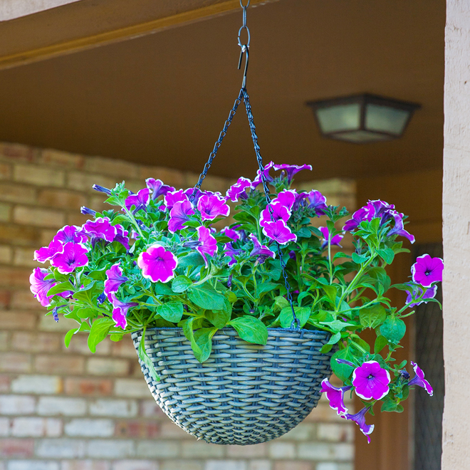 Panacea 7 x 14 x 14-in Resin Wicker Hanging Basket - Grey