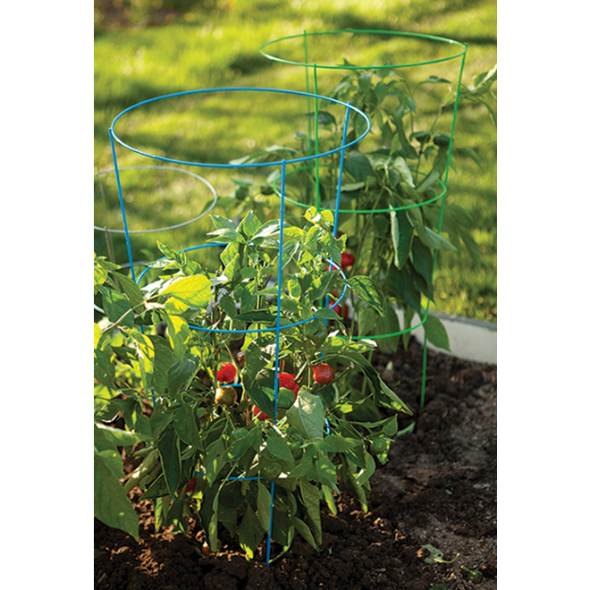 Panacea Tomato Cage 42in x 16in Galvanized Steel 89901 RONA