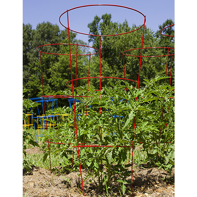 Panacea Tomato Cage 42in x 16in Galvanized Steel 89901 RONA