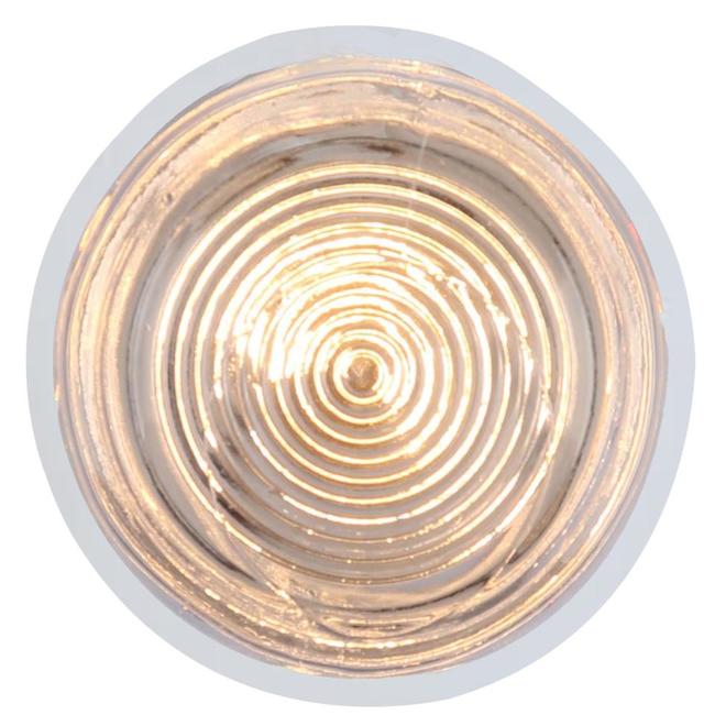 Canarm Outdoor Flush Mount Jam Jar Light White 60W