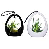 Pot suspendu pour succulents, Live Trends, céramique, 5''