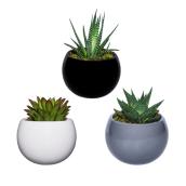 Pot magnétique succulent, Live Trends, 3'', céramique