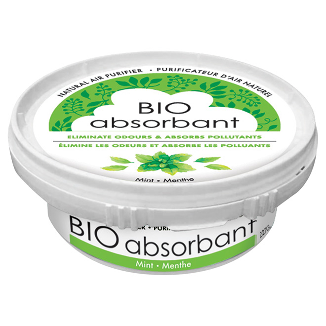 Bio Absorbant 1-Pack Mint Scent Air Freshener