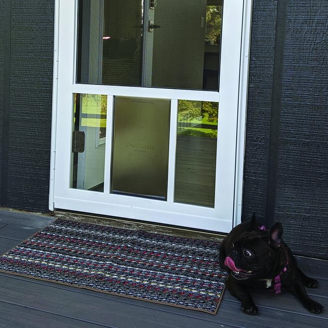 Full view storm outlet door with pet door