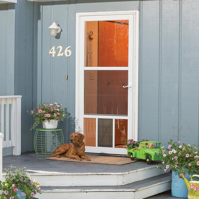 Pet door storm door best sale