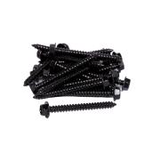 Regal Ideas Aluminum Lag Screws - Black - 24 Per Pack - 2 1/2-in L