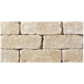 Pierre de taille pour mur « StackStone » 8 x 12 po, désert