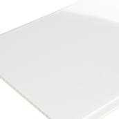 G-Teck PVC 10-In x 8-Ft Mirror Textured Cladding Panel White