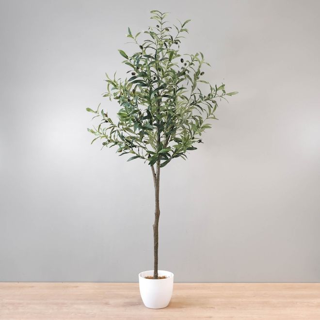 67-in Green Artificial Olive Tree with 595 Leaves and 42 Olive Fruits - White Pot