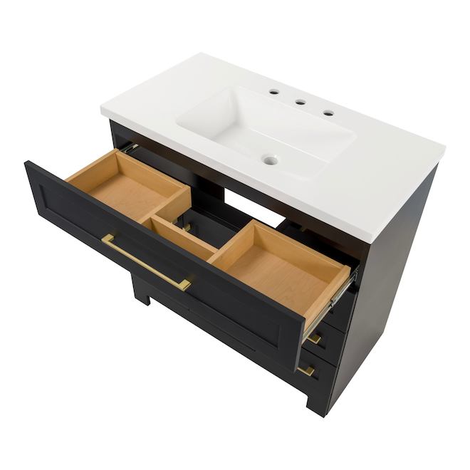 Landon & Co. Maria 36-in Vanity Shaker Style with 2 Doors and 4 Drawers - Matte Black