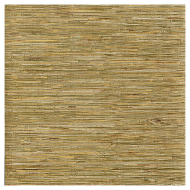 Brewster CHPC Vinyl Olive Green Wallpaper - Prepasted - Textured - 56 sq ft  405-45125 | RONA