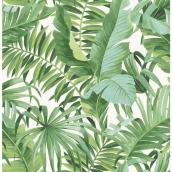 Brewster Wallcovering Solstice Alfresco Green Palm Leaf Wallpaper