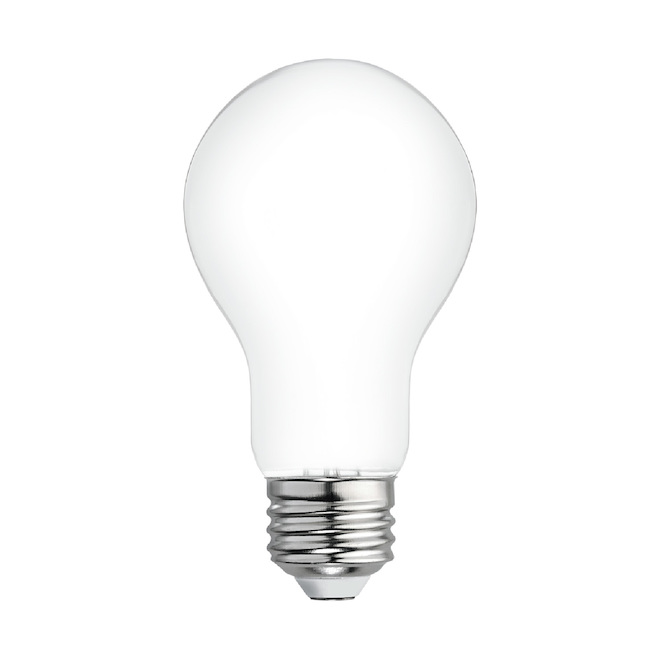 Ampoules de rechange givrées classiques A19, à usage général de GE, lumière du jour, de 60 W (paquet de 4)