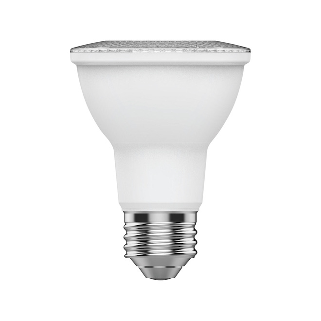 Ampoules de remplacement PAR20 pour projecteur à DEL de 50 W, blanc doux de GE Basic (paquet de 4)