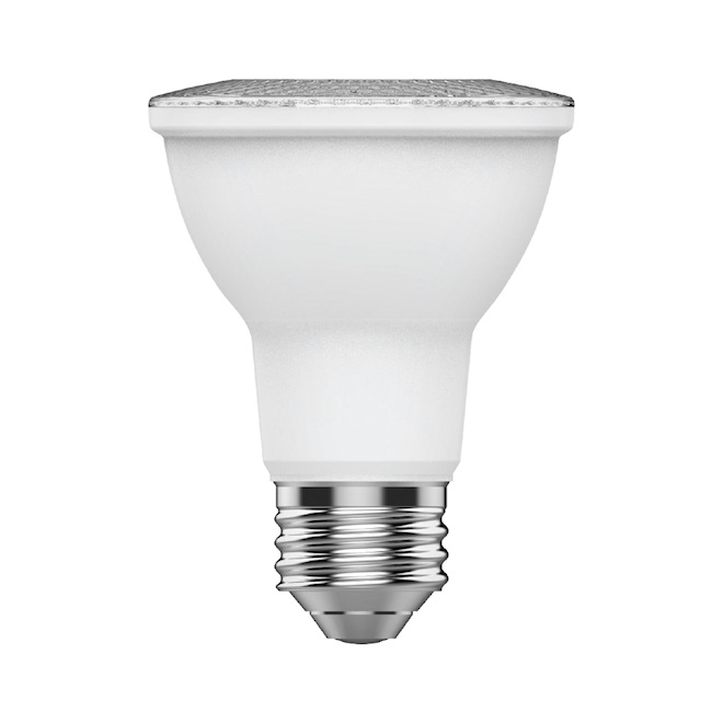 Ampoules basiques de remplacement PAR20 pour projecteur à DEL de 50 W par GE, lumière du jour (paquet de 4)