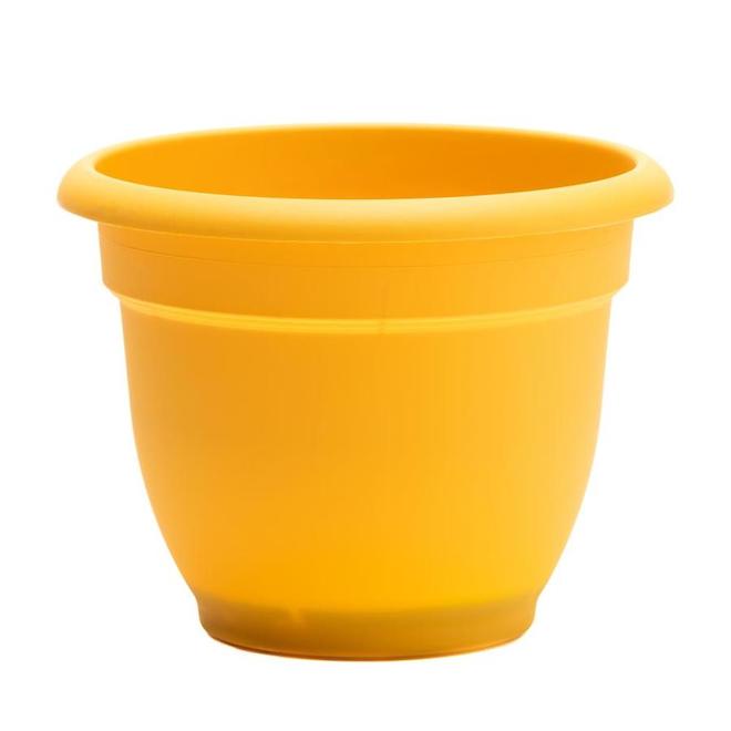 Bloem | Ariana Classic Planter - Resin - 6-In - Yellow | Rona