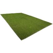 Synlawn 7.5-ft x 11-ft Green Polypropylene Indoor/Outdoor Synthetic Grass