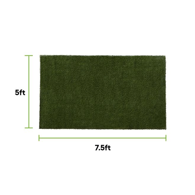 SYNLawn 7.5 L x 5-ft W Green Polypropylene Indoor/Outdoor Synthetic Grass