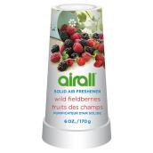 Purificateur d'air en bâton, 6 oz, fruits des champs
