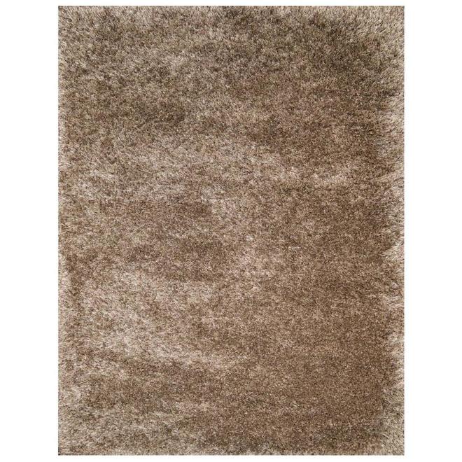 allen + roth Tanila Brown Rug 8ft x 10ft 573211778X10 RONA