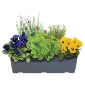 Jardinière assorties de fines herbes et fleurs de Jardins Paquette, 16 po